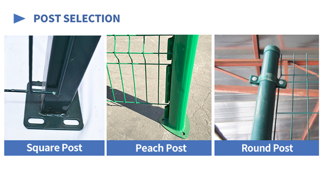 ECO freundliches PVC beschichtete Draht Mesh Fence, den 3D Sicherheit geschweißten Zaun kurvte 1