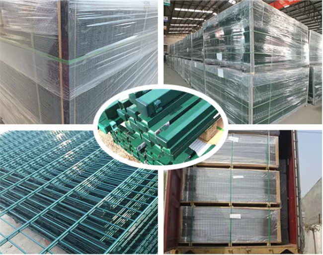 Sportplatz PVC beschichtete Draht-Mesh Fence Wrought Iron High-Sicherheit 868/656 3