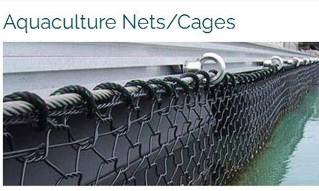 50mm* 60mm verdrehen sechseckiges Gabions-Drahtgeflecht-Polyester Soem 3