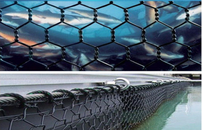 STREICHELN Sie Netto-30mm*40mm Aquakultur-Käfig der 1.2m sechseckigen Gabion Fischzucht- 3