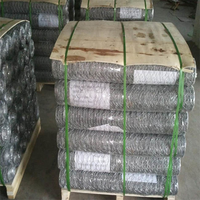 Huhn Mesh Fence Hexagonal AISI EN10223 des Edelstahl-304 4