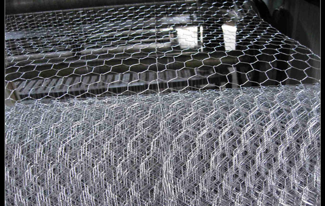 4ft galvanisiertes Geflügel-Sechseckdrahtgeflecht PVC beschichtete Maschendraht BWG 12 0