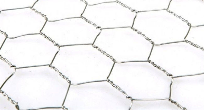 Sechseckige Breite Mesh Fences Q195 0.5m HDG Hühnerfür Geflügel 0