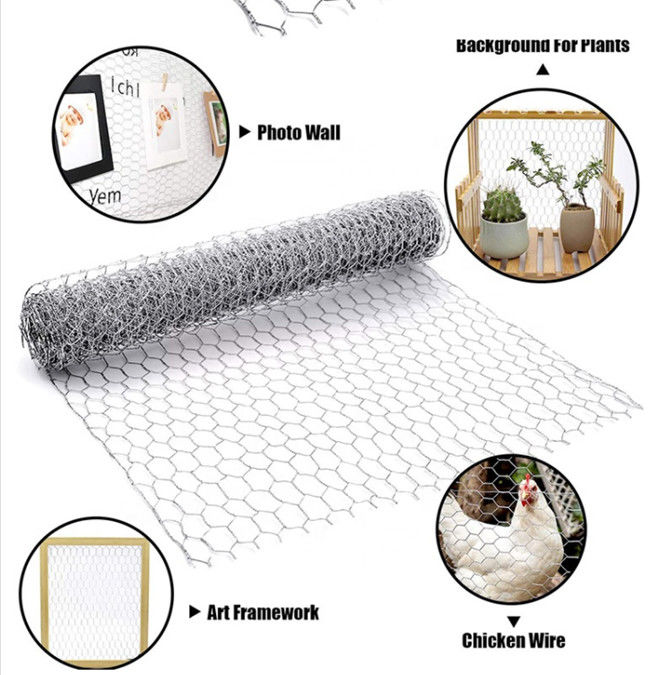 1.8m BWG 21 Huhn Mesh Fence 1/4" heißes Bad-galvanisierte Hexen-Filetarbeit 1