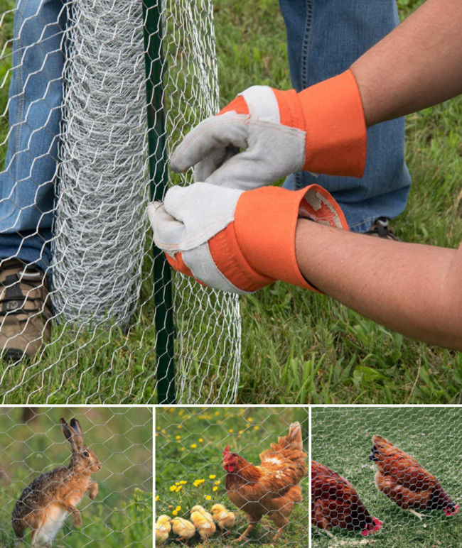 Galvanisiertes Huhn Mesh Fence, sechseckige Geflügel-Filetarbeit des Bauernhof-Bwg27 0