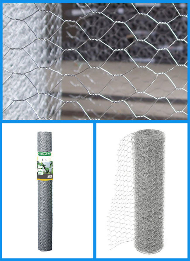 1.4mm 2 Zoll-Mesh Chicken Wire Netting Galvanised sechseckige Antirost ISO 9001 0