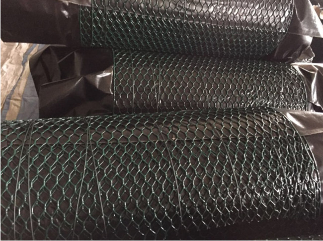 Huhn Mesh Fence Hexagonal AISI EN10223 des Edelstahl-304 3