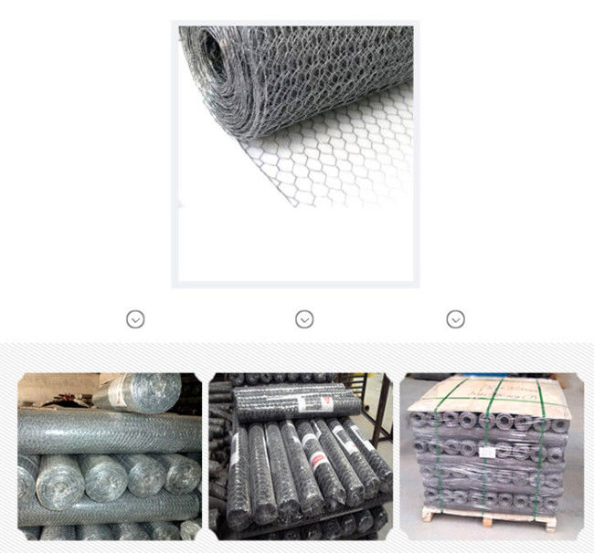 Maschendraht Mesh Fence Electro Galvanized Hexagonal BWG 24 Silber-100ft 2
