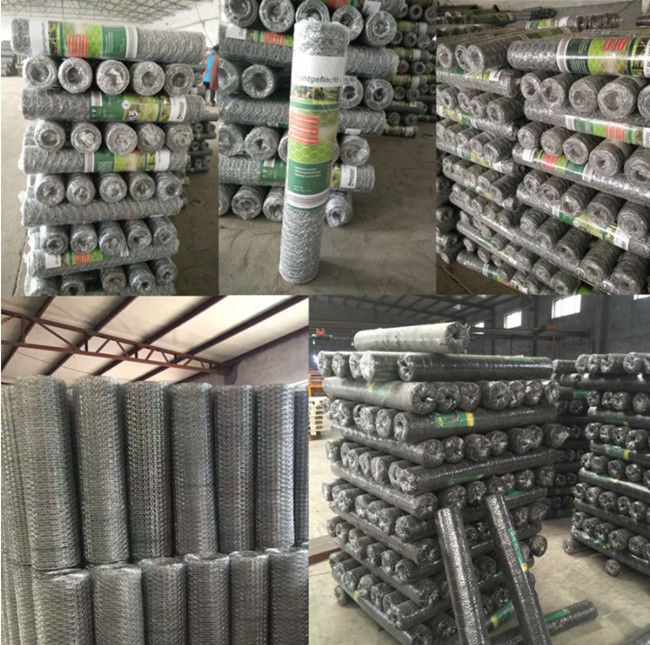 Hühner-Mesh Fence Electro Galvanized Hexagonal-Draht-Netz 3/4 Zoll-19mm 2