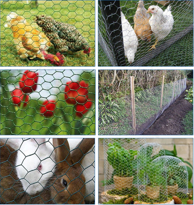 Sechseckige 0.42mm Hühner-Mesh Fence For Rabbit And-Geflügel-Filetarbeit 0