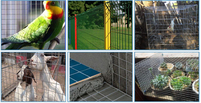 Gelbes 6m PVC beschichtete galvanisiertes geschweißtes Quadrat-Loch Draht-Mesh Panelss Q195 1
