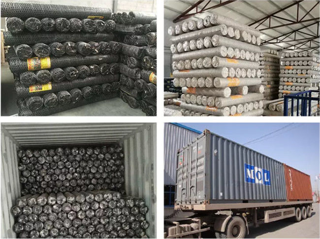 Galvanisierter sechseckiger Draht Mesh Netting For Feeding Chicken BWG 12 und Haustiere 2
